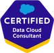 Salesforce Certification 25