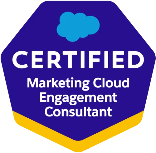 Salesforce Certified mcconsult