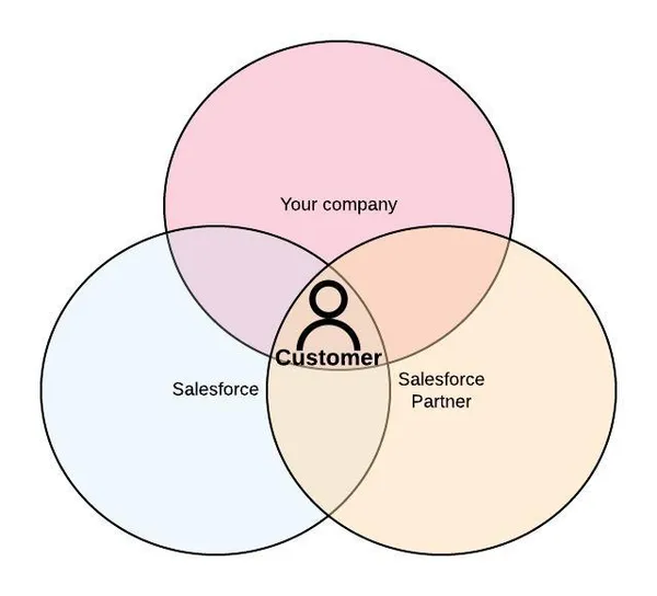 Choosing an Implementation Partner to Maximise Success
