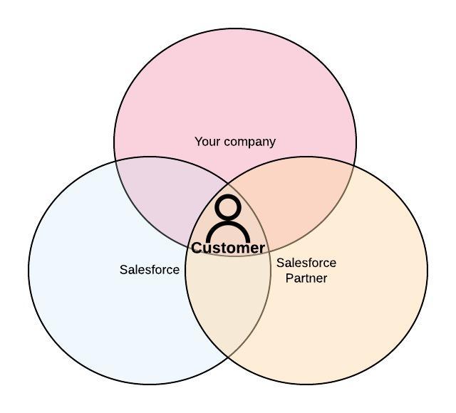 Partners Customer Salesforce